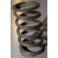 Junior Clutch Spring